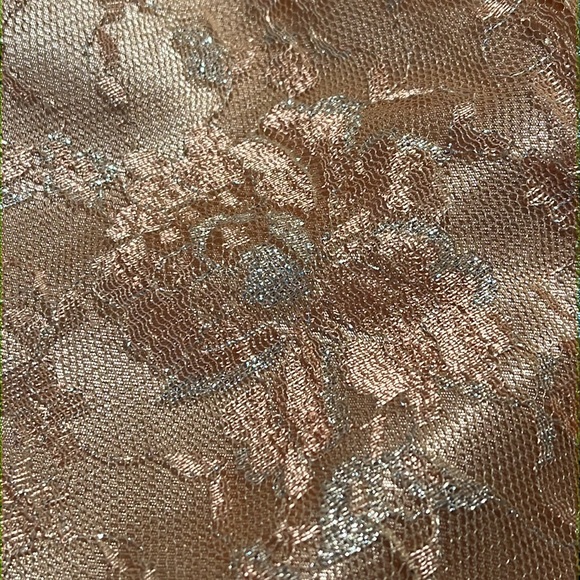 Tony Bowls Evenings Long Beaded Lace and Tulle Dress Gown - Picture 16 of 17